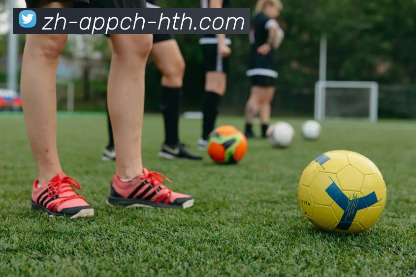 App Interface Preview